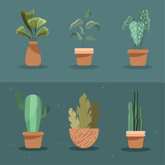 six houseplants in pots
