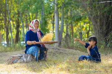 Asian Thai farmers produce rice for export in rural communities. 