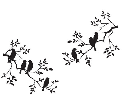 birds on a branch, Tree Branch Silhouette
