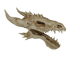 3d rendering realistic dragon head bones