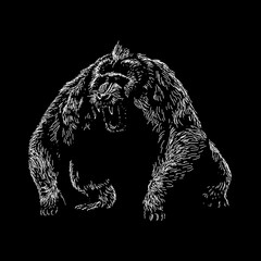 Dinopithecus hand drawing vector isolated on black background. © tya studio