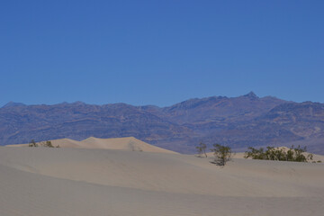 Fototapeta na wymiar desert dunes with mountains in the background