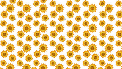 pattern with sunflowers on PNG transparent background 