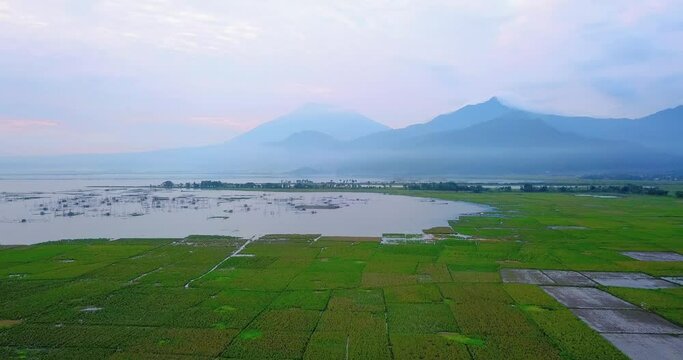 Aerial view of lake with green rice field and mountain range on the background - Rawa Pening Lake, Indonesia