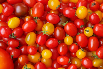Variety of colorful organic tomato background