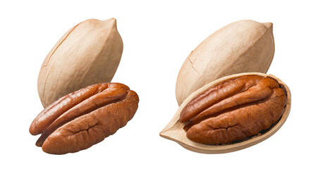 Shelled and whole pecan nuts double set isolated on white background