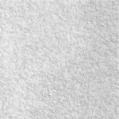Monochrome texture background. Image includes the effect the black and white tones. Surface looks rough. Gray printing element. Backdrop texture wall and have copy space for text.