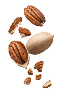 Whole, shelled and broken pecan nuts flying isolated on white background. Vertical layout