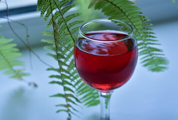 A glass of red wine on the windowsill next to a potted flower.