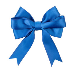 Blue bow isolated on a white background