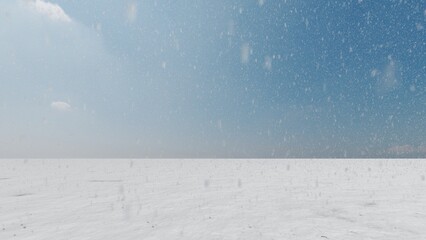 snow on the field