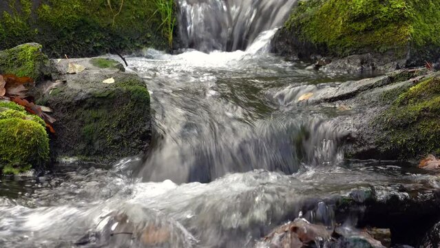 Detail am Selkefall im Harz, Deutschland