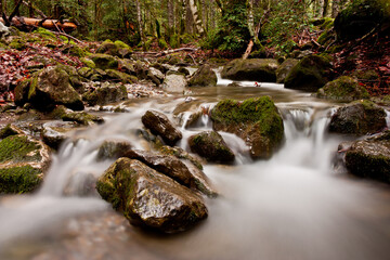 river with silk effect in the middle of the forest surrounded by trees and red and yellow leaves