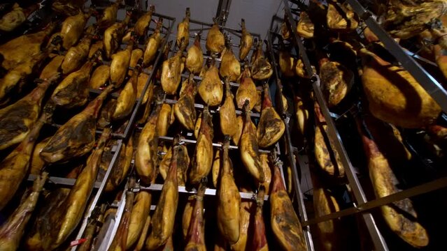 jamon serrano pig legs factory hanging in a industry legs of Iberian ham, where it is seen in the reflections of light on the black brown skin of Iberian pig on huge factory  with good lighting