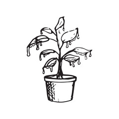 flowerpot plant with icicle covered on leaves frozen vector illustration eps