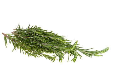 rosemary branch isolated