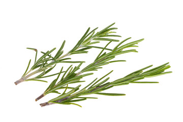 rosemary branch isolated