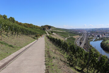 Fahrweg Wanderweg im Weinberg W&uuml;rzburger Stein bei W&uuml;rzburg im Herbst Oktober September w&auml;hrend der Weinlese