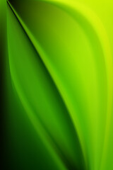 Abstract luxurious green silk wave. Bright wallpaper with draped fabric and smooth lines. Ecology and fashion. - 553943198