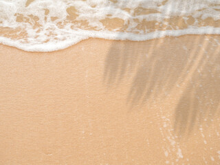 Beach and white waves lapping ashore. Blurred silhouettes of palm or coconut leaves right.