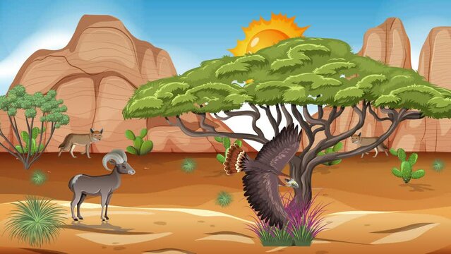 African food web concept animation
