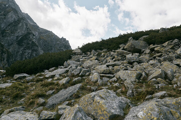 Fototapeta na wymiar mountain range and layers of green hill mountain in Zakopane, Poland