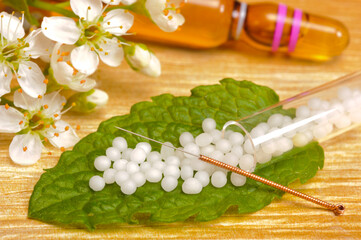 Fototapeta na wymiar alternative medicine with herbal pills and acupuncture