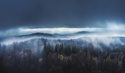 mgła w górach. mglisty poranek  - obrazy, fototapety, plakaty