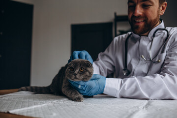 Shot of a young handsome bearded professional vet smiling joyfully working at his office petting beautiful cat after medical examination copyspace doctor medicine profession comfort relax