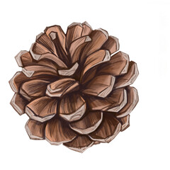 Pine cone, Christmas decoration