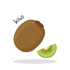 Vector illustration of ripe fresh kiwi with a piece. Fruit illustration in flat style isolated on white background.