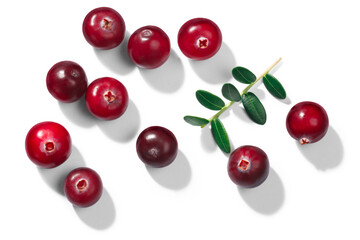 Cranberries (Vaccinium oxycoccus), top view isolated png - obrazy, fototapety, plakaty