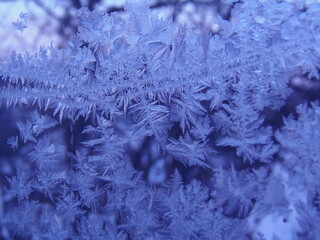 frost on the window