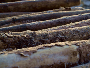 frozen wood in the forest