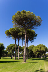 튀르키에 안탈리아 골프장