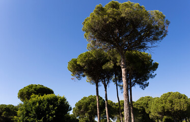 튀르키에 안탈리아 골프장