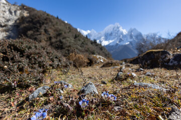 Nepal Manaslu Circuit Himalaya
