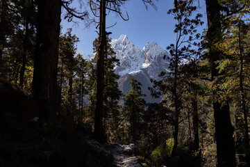 Nepal Manaslu Circuit Himalaya