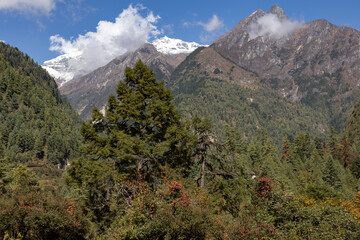Nepal Manaslu Circuit Himalaya