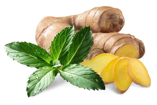 Ginger Root With Fresh Mint Leaves, Isolated Png