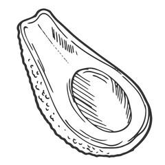 Avocado vector illustration with black hand drawn style isolated on white background
