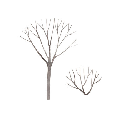 Watercolor hand painted winter trees illustration. Isolated bare tree and bush on transparent background.