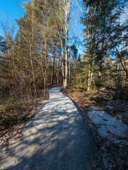 Bordwalk in the center of a Canadian marsh in a public park in december