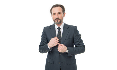Serious grizzled professional business man businessman boss in formal business suit studio