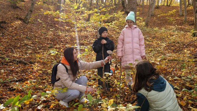 A group of people with children gather mushrooms together in the autumn forest, they found a large mushroom in the foliage and everyone is looking at it. Autumn weekend in the forest.
