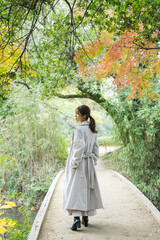 Fototapeta premium 森林公園を観光する女性
