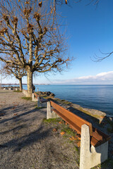 Park in Horn am Bodensee
