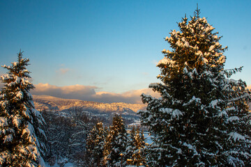 Zimowy krajobraz w Beskidach