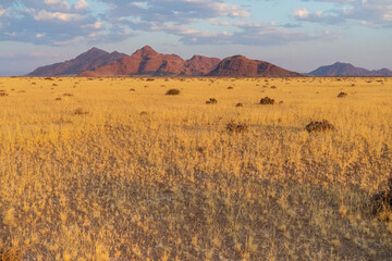 A sunset over the grasscovered fields near Sesriem, Namibia.
