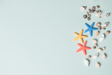Model starfish and shells on light green background for your design.